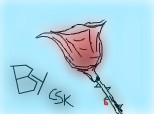 cSk - Trandafir Rosu