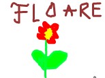 floare