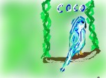 coco