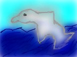 White Dolphin