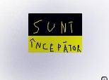 sunt incepator