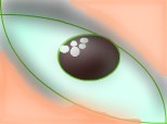 eye