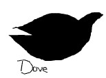 dove