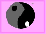 yin yang