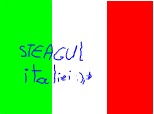 steagul italiei