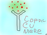 copac cu mere