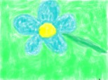 The Blue Flower:X:X:X