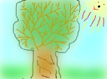 Copacul de 1000 de ani