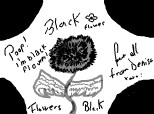 o floare neagra pentru toti! poop!