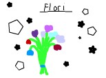 Flori