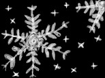 Snowflakes