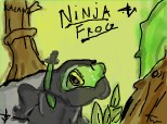 Ninja Frog