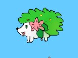 shaymin