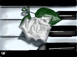 Am incercat sa desenez un trandafir pe un pian...