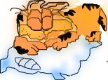 garfield