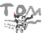 tom.....pisica mea