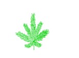 MaRiJuAnA