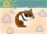 Hamster in desert