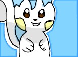 Pachirisu