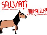 salvati animalele