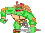 turtles ninja