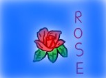 the rose