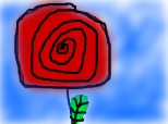 rose