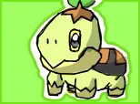 Turtwig pokemon