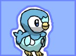 piplup