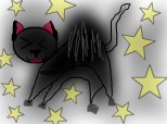 pisica stelara
