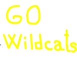 Wildcats!!