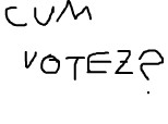 Cum votez?