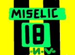 jovo miselic  N.V.2007 *12.10.11