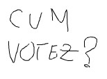 cum votez?