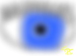 eye