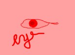 eye