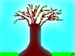 copacul primaveri