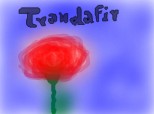 trandafir