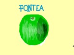 fontea