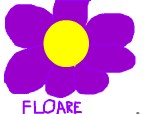 Floare