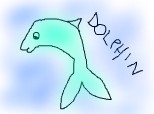 dolphin