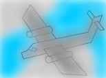 the plane