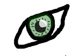 eye