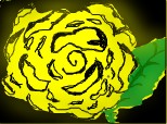 The rose yellow!!!