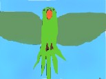 parrot