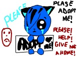 adopt me please!
