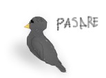 pasare