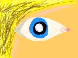 eye