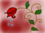 Crying Rose