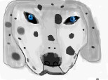 Dalmatian Nr.1